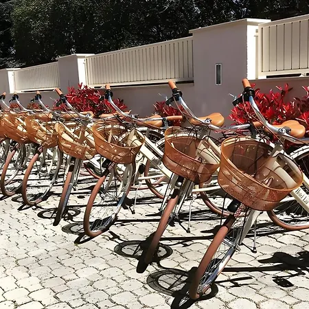 Liu Hotel Lido di Camaiore